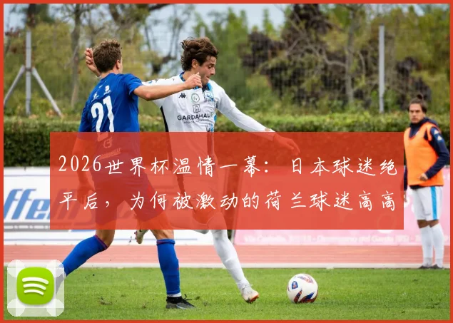 2026世界杯温情一幕：日本球迷绝平后，为何被激动的荷兰球迷高高抛起庆祝？